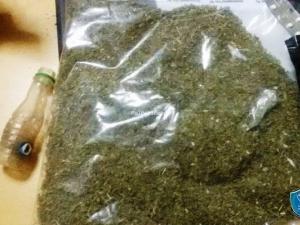 ضبط نصف كيلو من  القنّب المهجّن في بدو