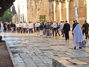 مستوطنون يقتحمون الأقصى ويؤدون طقوسًا تلمودية