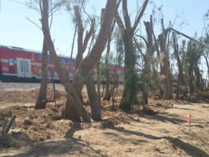 اخبار فلسطين