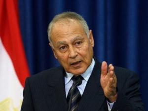 أبو الغيط يغازل الإمارات عبر قنواتها: التطبيع أوقف الضم!