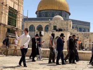 عشرات المستوطنين يقتحمون المسجد الأقصى