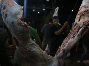 اضاحي العيد 