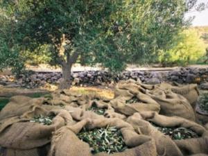 حالة الطقس: ارتفاع تدريجي في درجات الحرارة