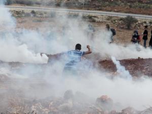 صورة من المكان