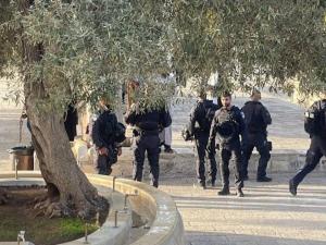 بالفيديو والصور متطرفون يقتحمون باحات المسجد الأقصى على شكل جماعات وسط تصدي من المرابطين
