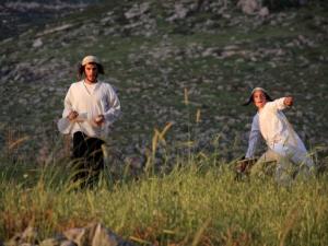 مستوطنون يعتدون على طفل في تل الرميدة وسط الخليل